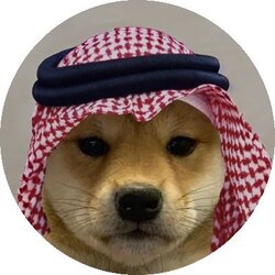 dogwifsaudihatLOGO