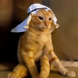 Arab catLOGO